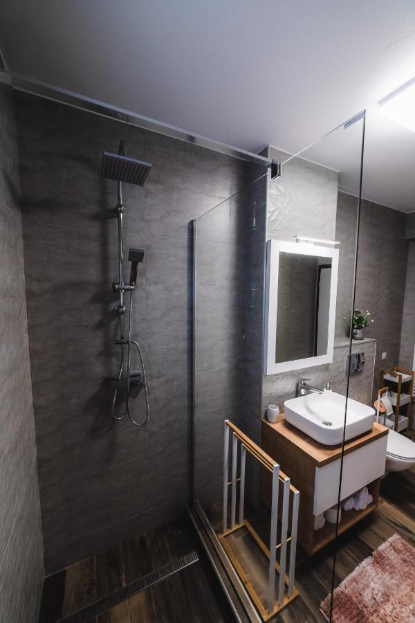 Kogalniceanu Apartments Sibiu Extérieur photo